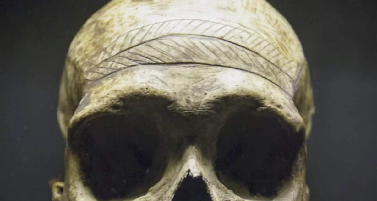 Exposition Tatoueurs, tatoués