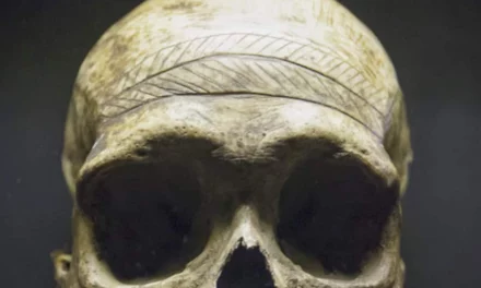 Exposition Tatoueurs, tatoués