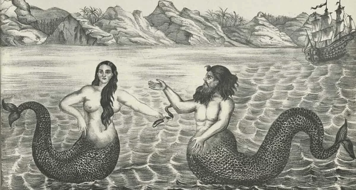 La NY Public Library libère plus de 180 000 images en haute définition