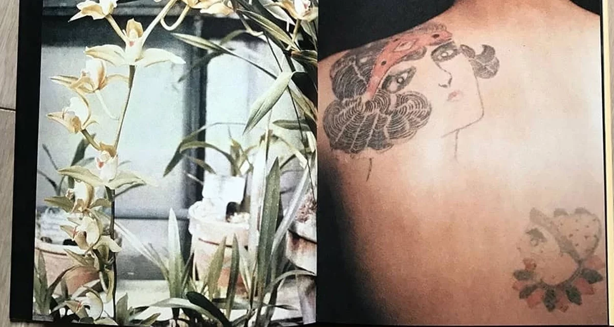 Fleurs de peau – Skin flowers, recueil photographique du Dr. X