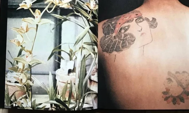 Fleurs de peau – Skin flowers, recueil photographique du Dr. X