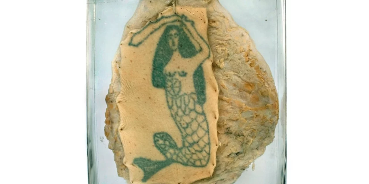 Special signs par Katarzyna Mirczak