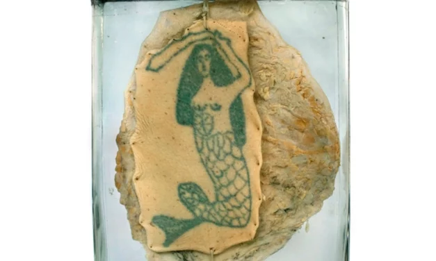 Special signs par Katarzyna Mirczak