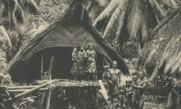 Les Mentawaï : survivance des traditions