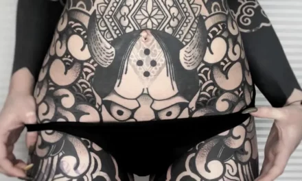 Laurent Z, pour l’amour des lignes